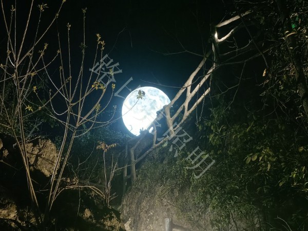 清远杰茗原生态茶业 月亮球景观灯案例工程
