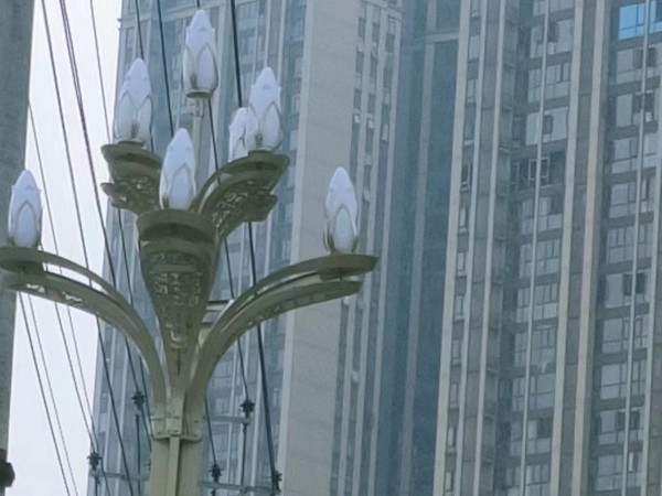玉兰景观灯