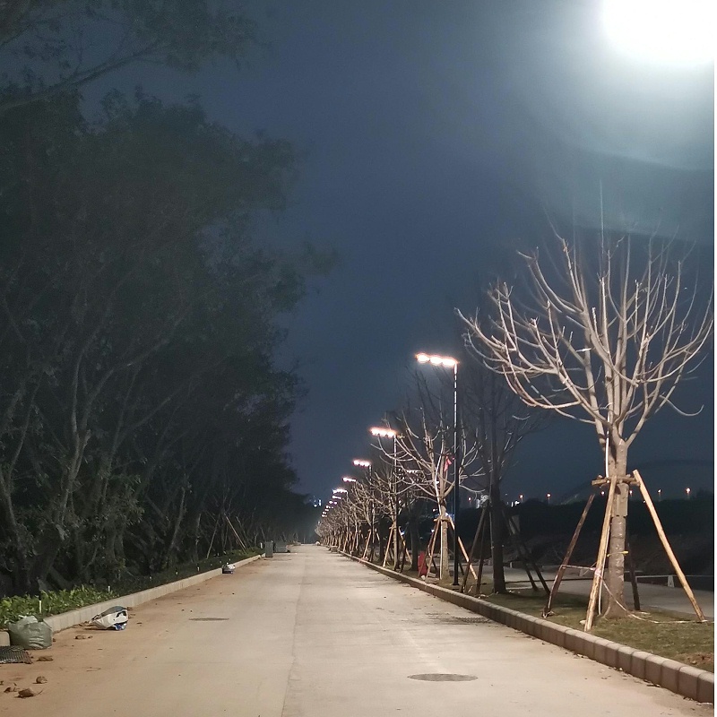 道路景观灯