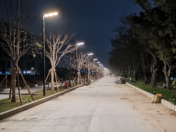 广州番禺景观灯工程案例