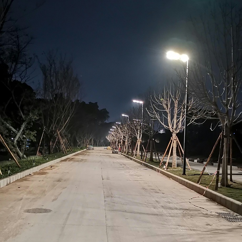 道路景观灯
