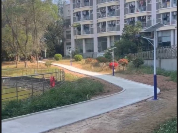 广东医科大学太阳能路灯工程案例